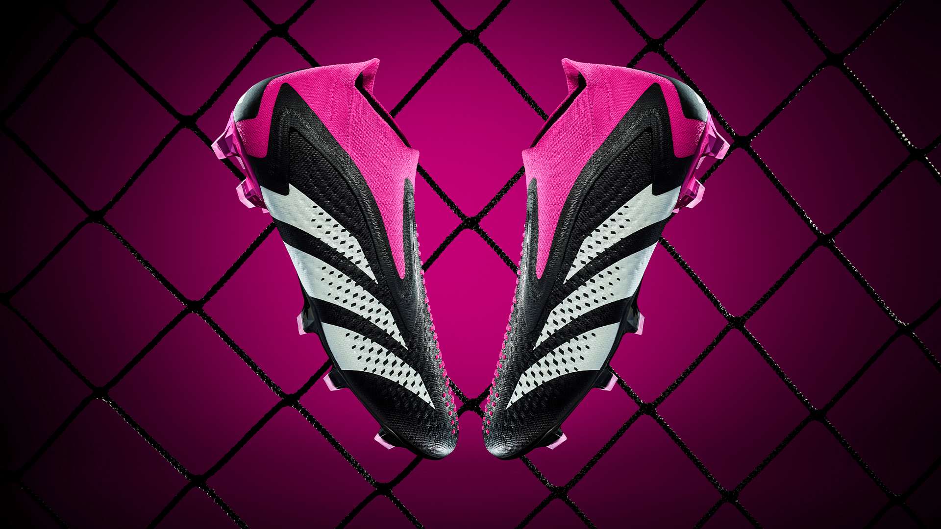 必须认真分 必须认真分